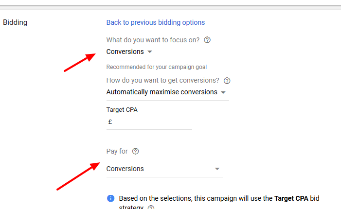 opting for conversion bidding in Google Ads